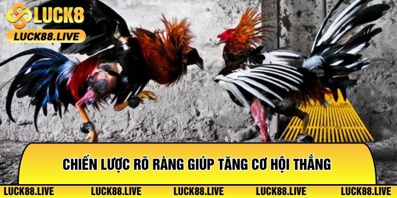 Chiến lược rõ ràng giúp tăng cơ hội thắng cho anh em