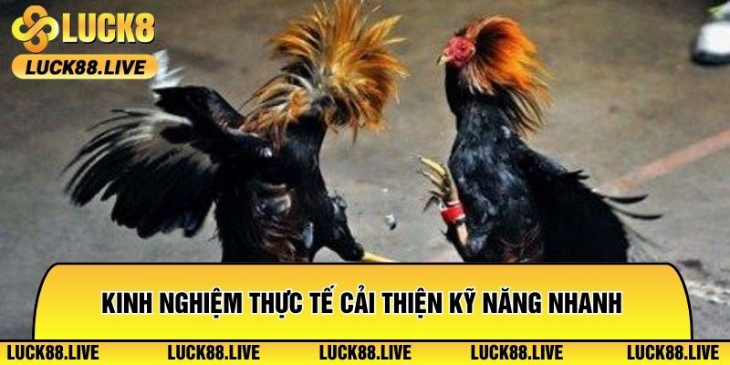 Kinh nghiệm thực tế giúp người chơi cải thiện kỹ năng nhanh