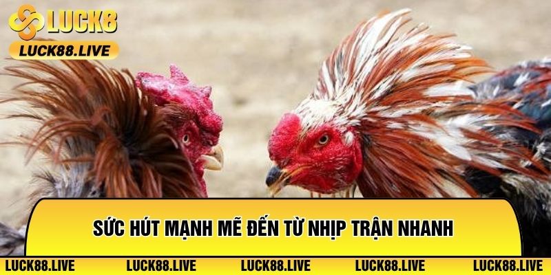 Sức hút mạnh mẽ đến từ nhịp trận nhanh và hấp dẫn