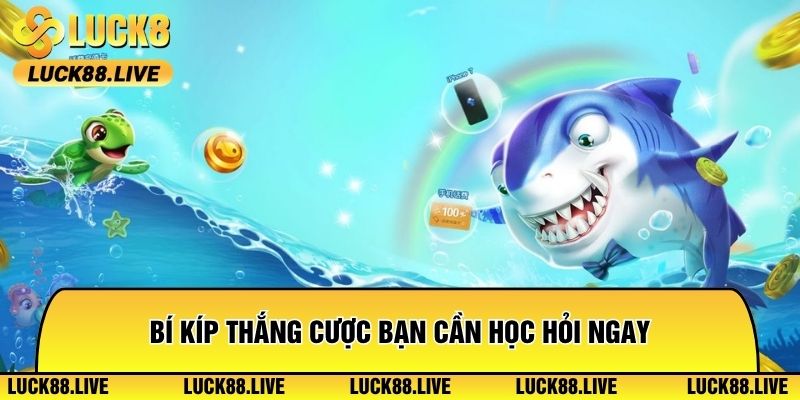 Bí kíp thắng cược bạn cần học hỏi ngay