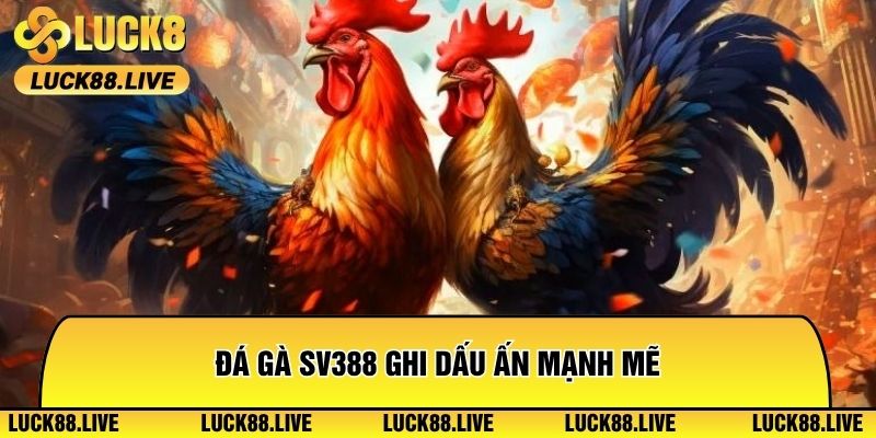 Đá gà SV388 ghi dấu ấn mạnh mẽ