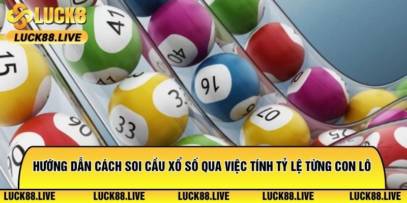 Hướng dẫn cách soi cầu xổ số qua việc tính tỷ lệ từng con lô