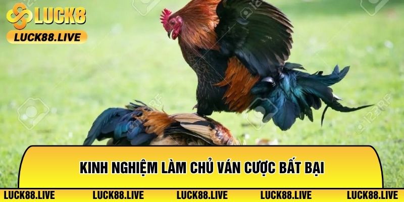 Kinh nghiệm làm chủ ván cược bất bại