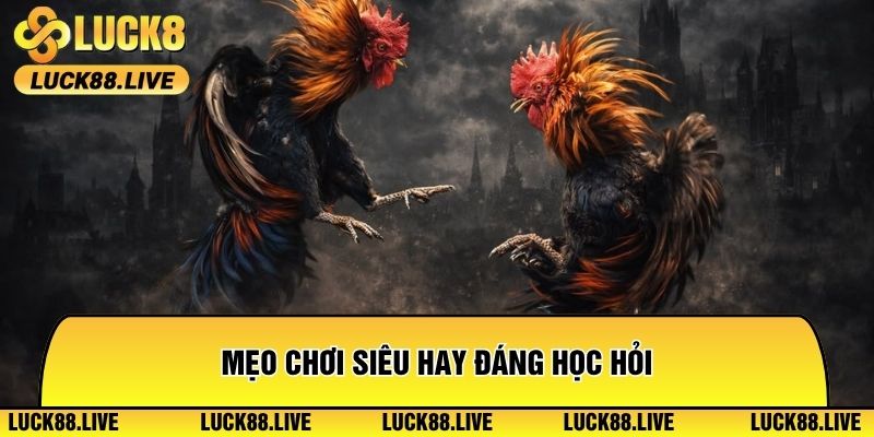 Mẹo chơi siêu hay đáng học hỏi