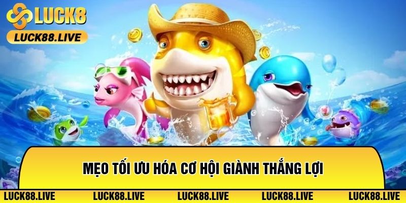 Mẹo tối ưu hóa cơ hội giành thắng lợi