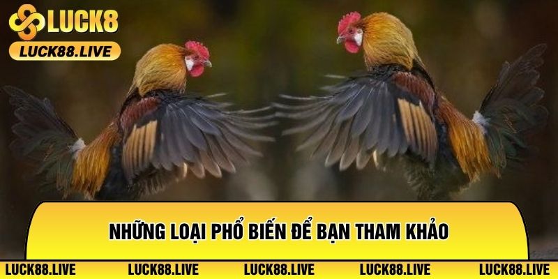 Những loại phổ biến để bạn tham khảo