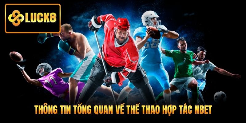 Thông tin tổng quan về thể thao hợp tác Nbet